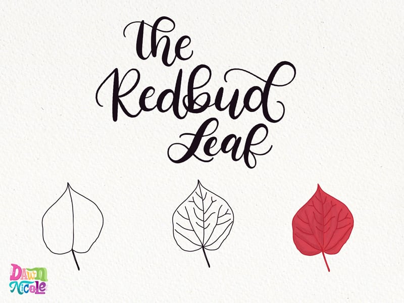 7 Ways to Draw Fall Leaves. How to draw seven common types of Fall leaves. Plus, how to use them to add character to your hand lettering and calligraphy.