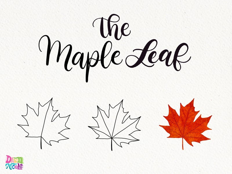 7 Ways to Draw Fall Leaves. How to draw seven common types of Fall leaves. Plus, how to use them to add character to your hand lettering and calligraphy.