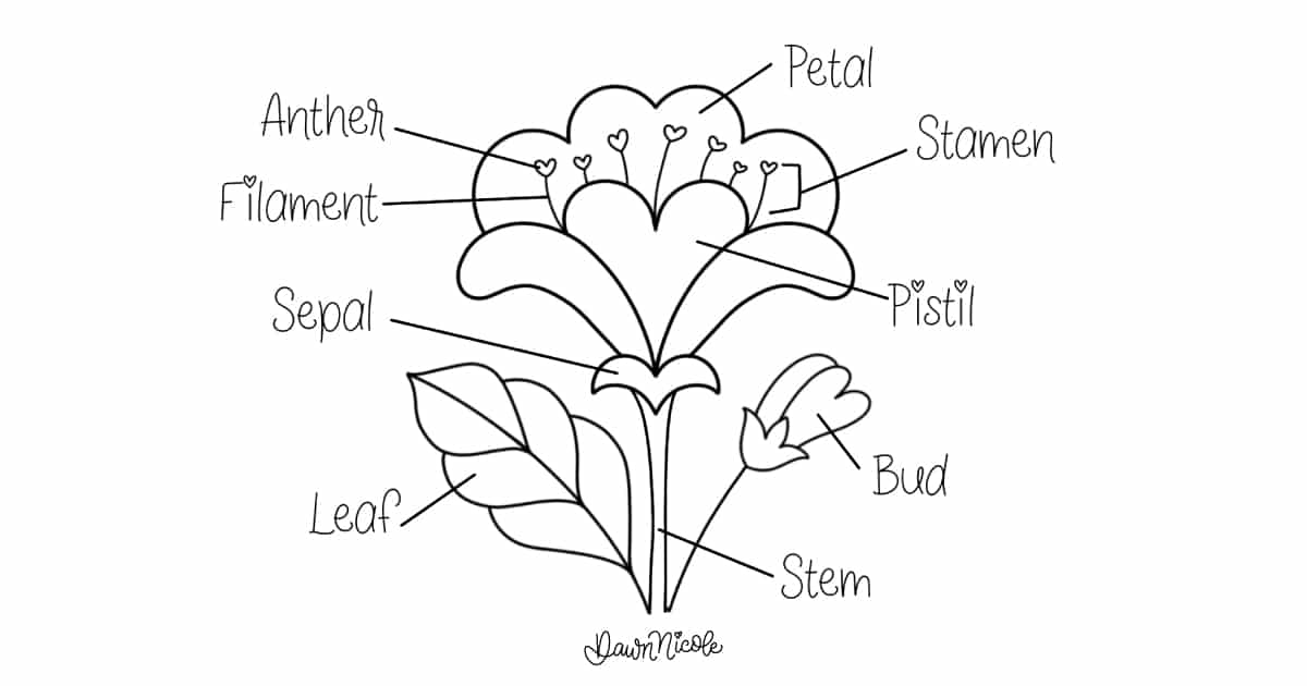 10 Folksy Flowers to Draw. Learn how to draw ten delightful flower styles, with easy step-by-step instructions!