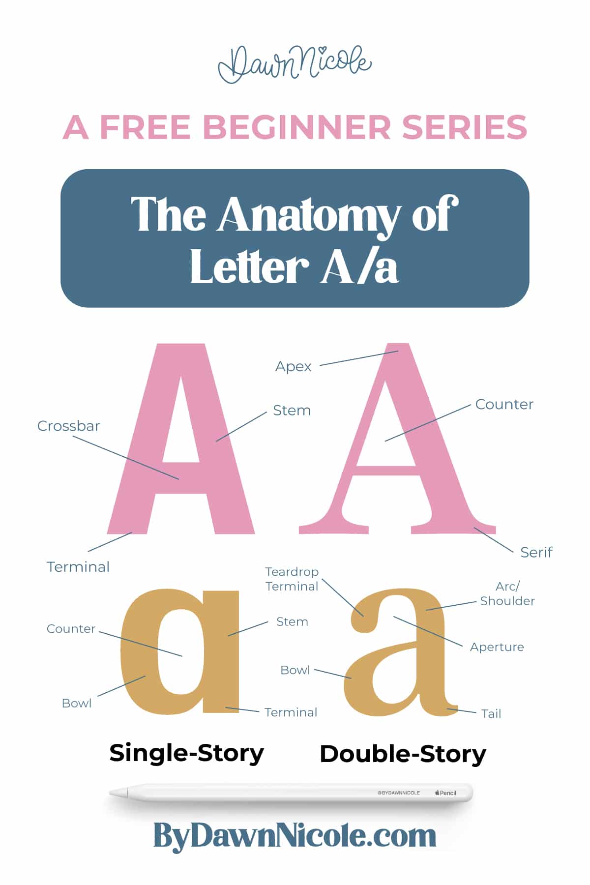 Anatomy of the Letter A. Learn the anatomy of the letter A, including uppercase and lowercase structures, key parts, and tips to improve your lettering!