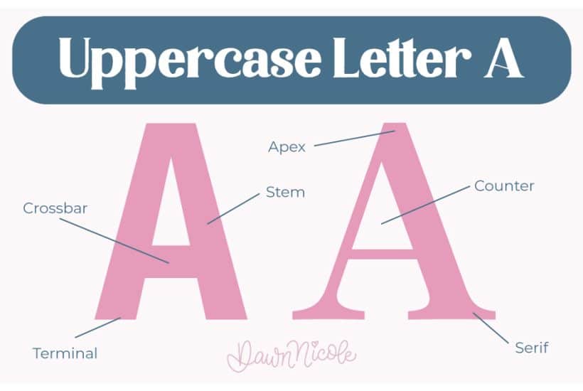 Anatomy of the Letter A. Learn the anatomy of the letter A, including uppercase and lowercase structures, key parts, and tips to improve your lettering!