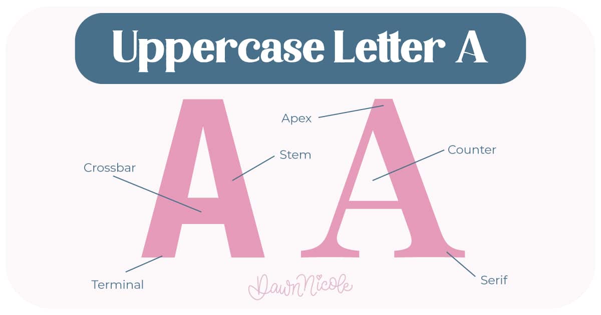 Anatomy of the Letter A. Learn the anatomy of the letter A, including uppercase and lowercase structures, key parts, and tips to improve your lettering!