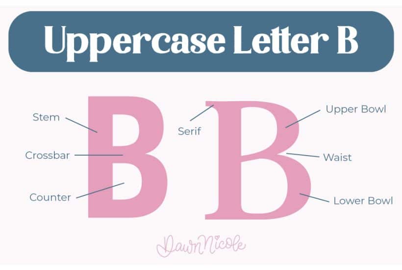 Anatomy of the Letter B. Learn the anatomy of the letter B, including uppercase and lowercase structures, key parts, and tips to improve your lettering!