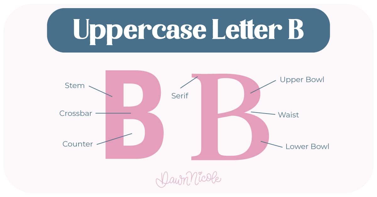 Anatomy of the Letter B. Learn the anatomy of the letter B, including uppercase and lowercase structures, key parts, and tips to improve your lettering!