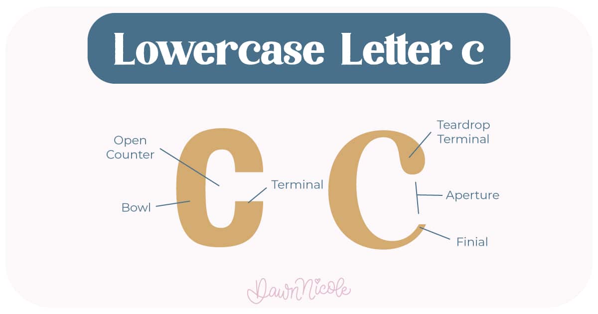 Anatomy of the Letter C. Learn the anatomy of the letter C, including uppercase and lowercase structures, key parts, and tips to improve your lettering!