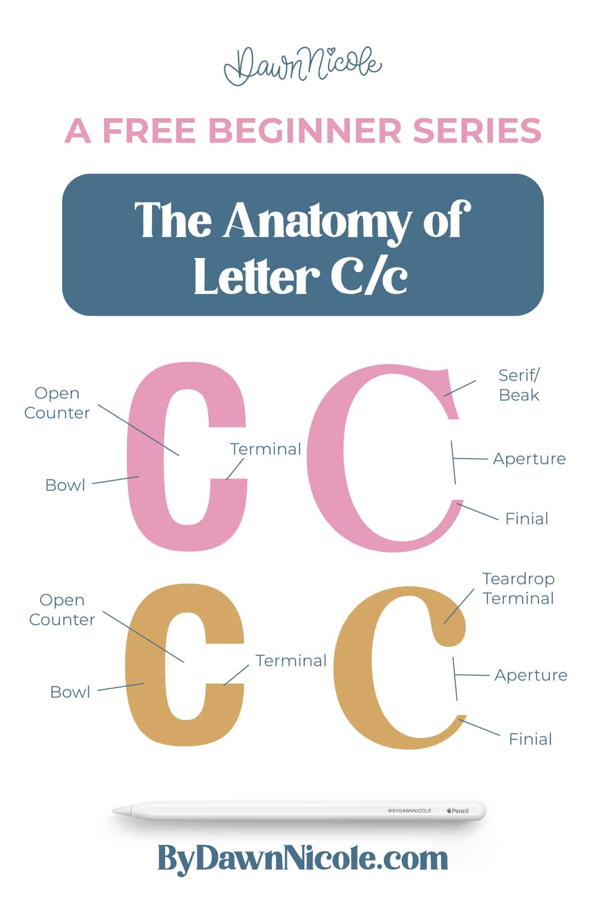 Anatomy of the Letter C. Learn the anatomy of the letter C, including uppercase and lowercase structures, key parts, and tips to improve your lettering!