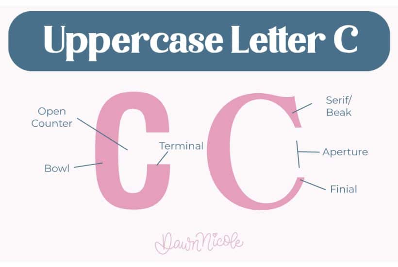 Anatomy of the Letter C. Learn the anatomy of the letter C, including uppercase and lowercase structures, key parts, and tips to improve your lettering!