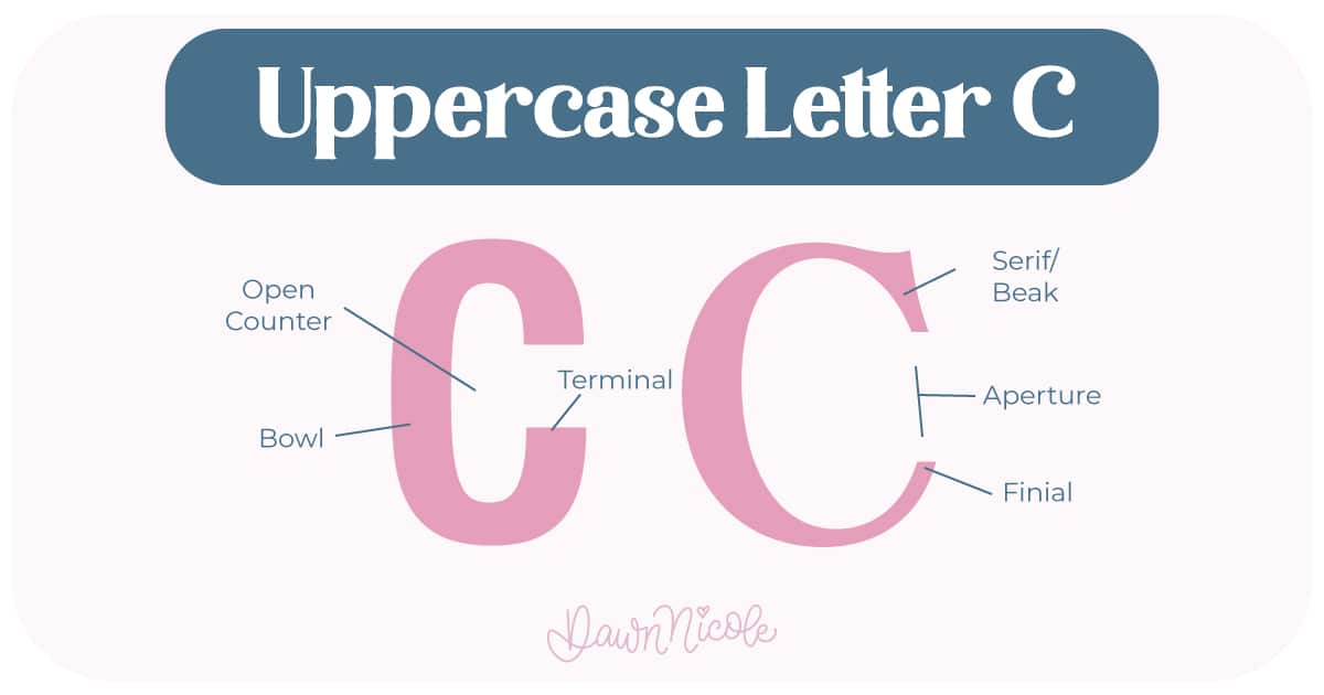 Anatomy of the Letter C. Learn the anatomy of the letter C, including uppercase and lowercase structures, key parts, and tips to improve your lettering!