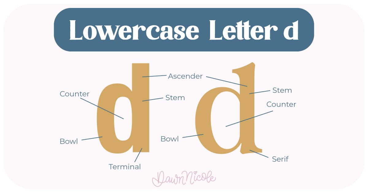 Anatomy of the Letter D. Learn the anatomy of the letter D, including uppercase and lowercase structures, key parts, and tips to improve your lettering!