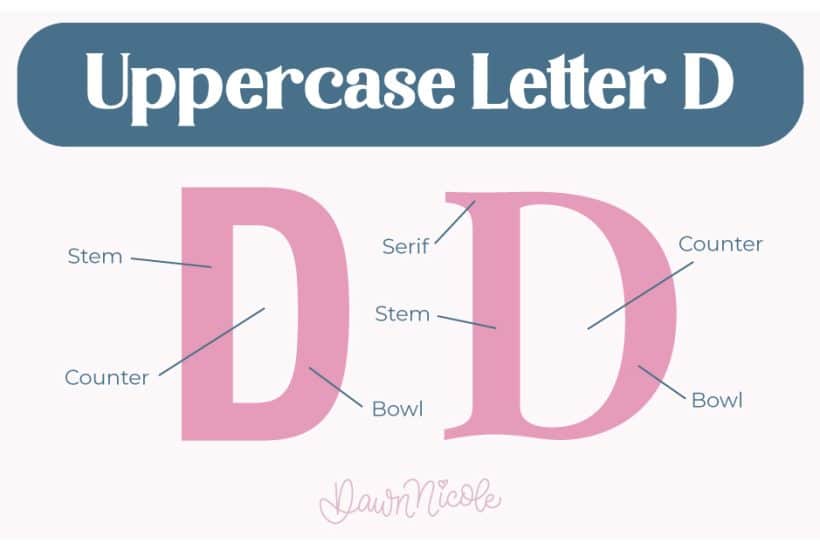 Anatomy of the Letter D. Learn the anatomy of the letter D, including uppercase and lowercase structures, key parts, and tips to improve your lettering!