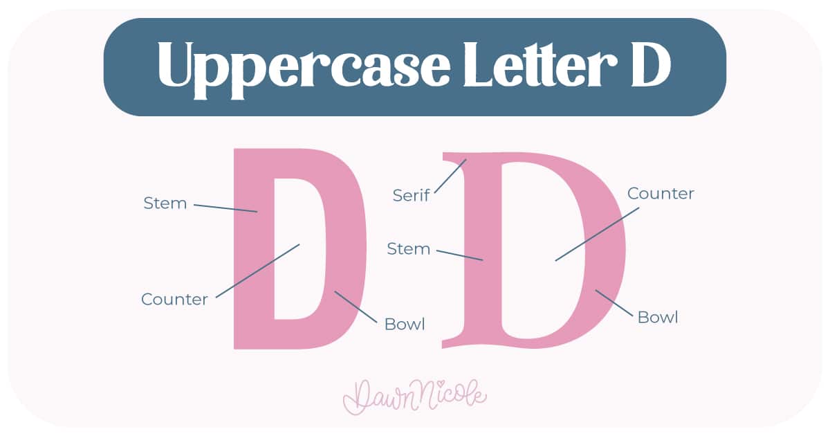 Anatomy of the Letter D. Learn the anatomy of the letter D, including uppercase and lowercase structures, key parts, and tips to improve your lettering!