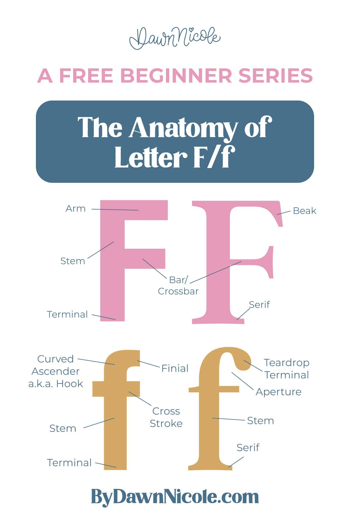 Anatomy of the Letter F. Learn the anatomy of the letter F, including uppercase and lowercase structures, key parts, and tips to improve your lettering!