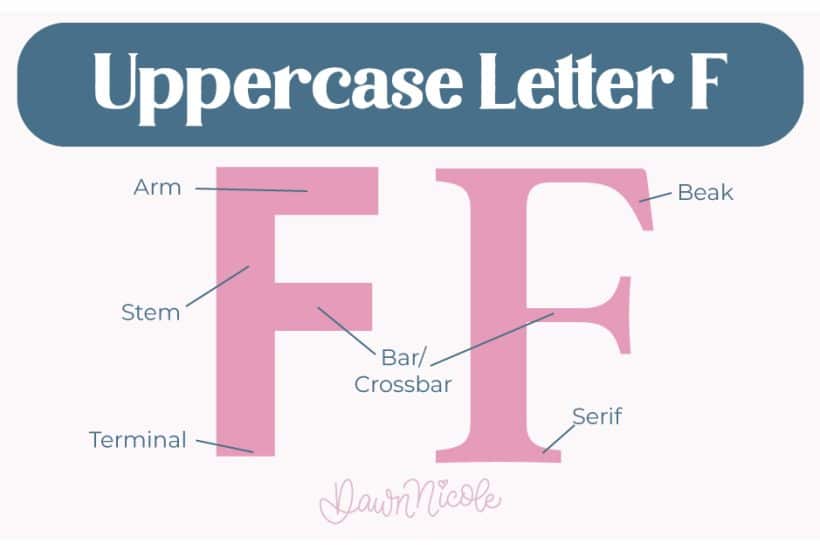 Anatomy of the Letter F. Learn the anatomy of the letter F, including uppercase and lowercase structures, key parts, and tips to improve your lettering!