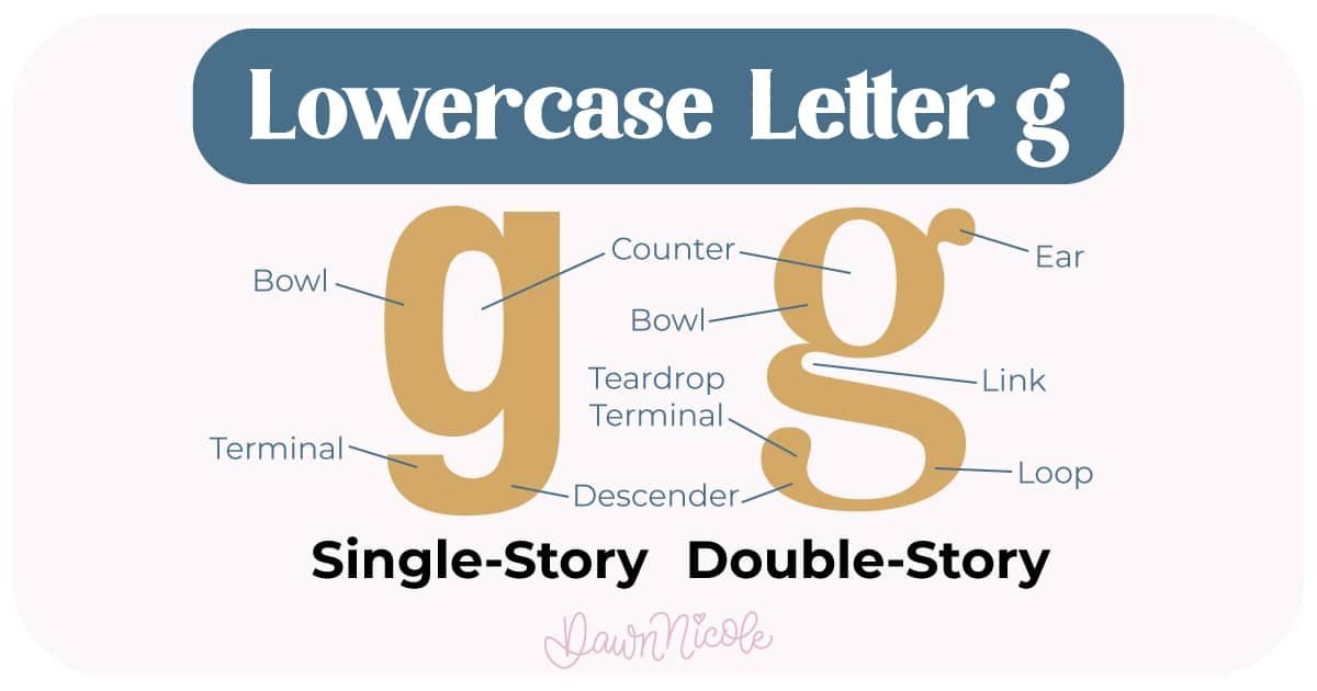 Learn the anatomy of the letter G, including uppercase and lowercase structures, key parts, and tips to improve your lettering!