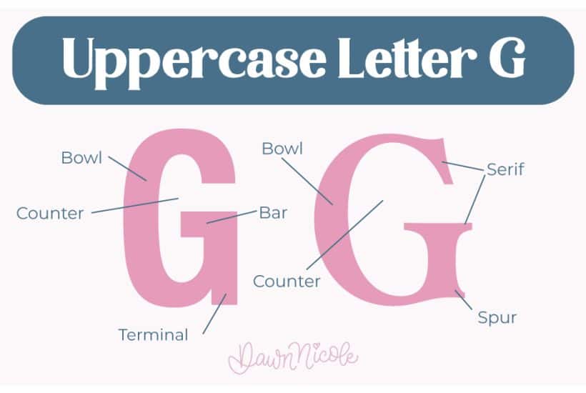 Learn the anatomy of the letter G, including uppercase and lowercase structures, key parts, and tips to improve your lettering!