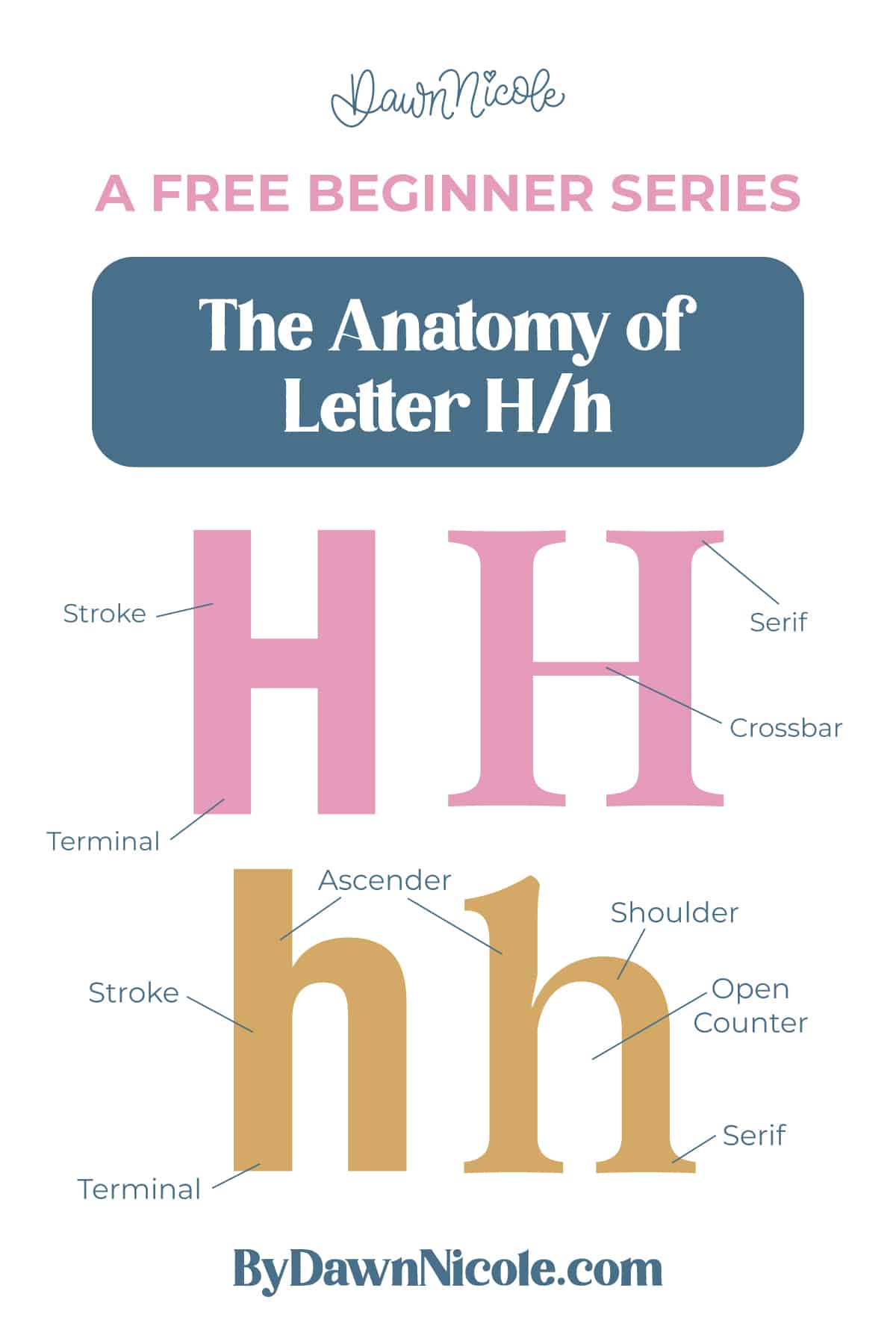 Anatomy of the Letter H. Learn the anatomy of the letter H, including uppercase and lowercase structures, key parts, and tips to improve your lettering!