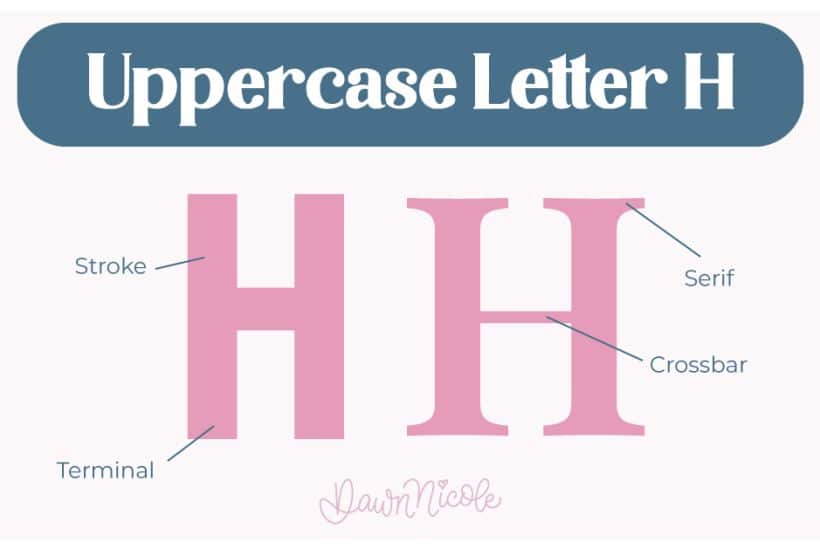 Anatomy of the Letter H. Learn the anatomy of the letter H, including uppercase and lowercase structures, key parts, and tips to improve your lettering!