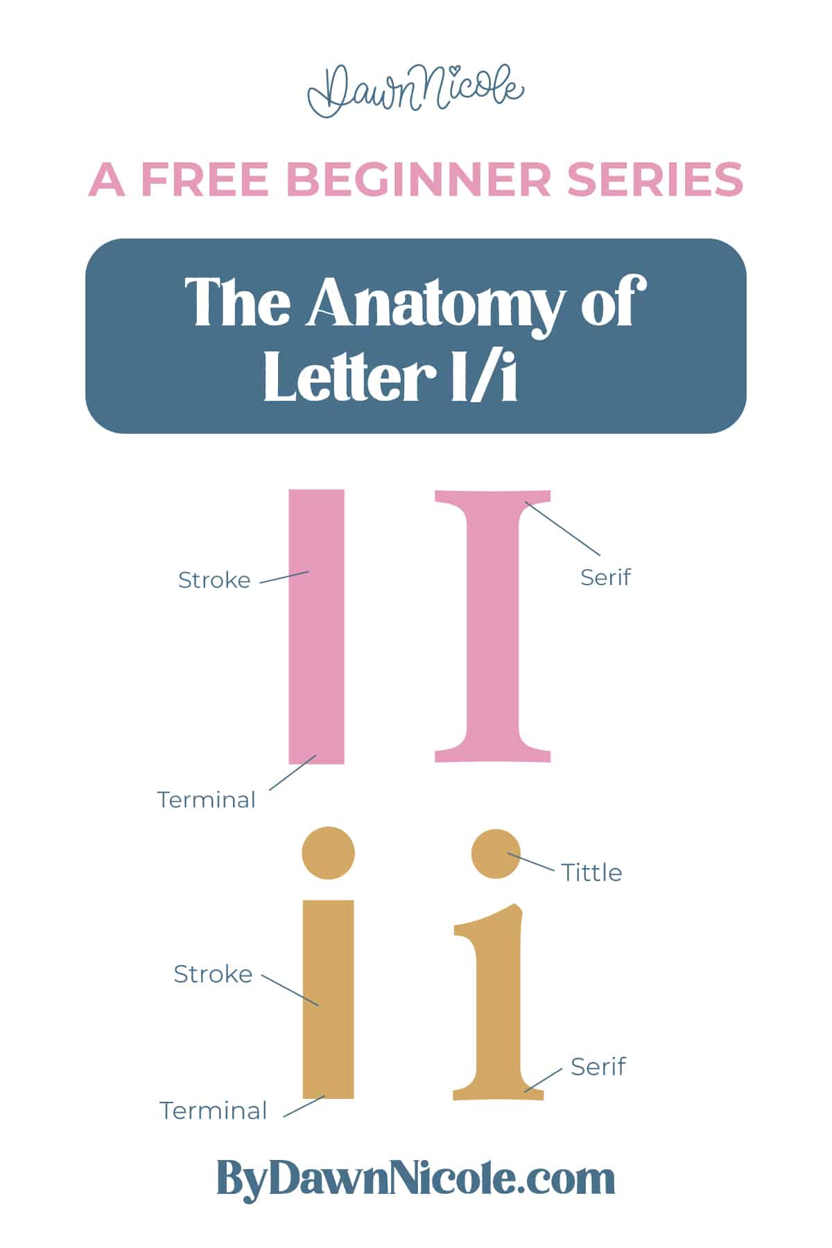 Anatomy of the Letter I. Learn the anatomy of the letter I, including uppercase and lowercase structures, key parts, and tips to improve your lettering!