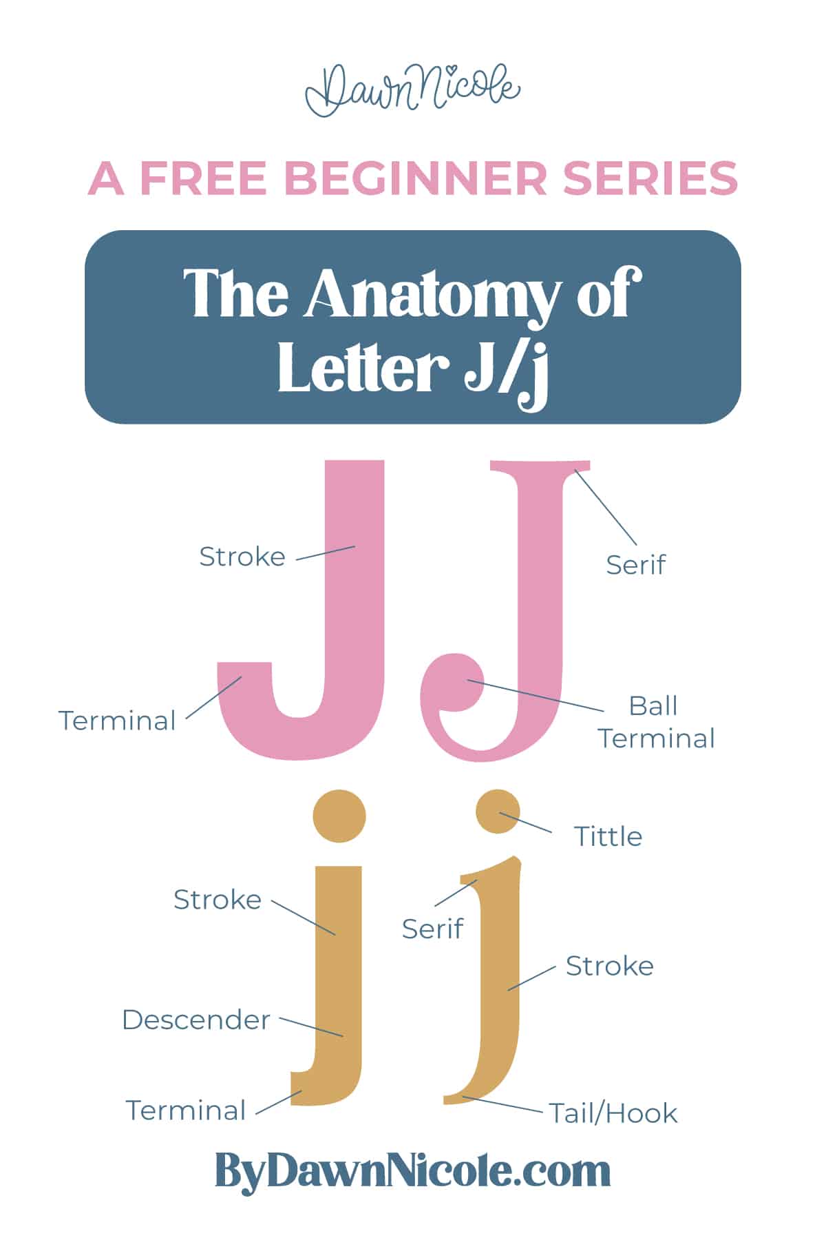 Anatomy of the Letter J: Learn the anatomy of the letter J, including uppercase and lowercase structures, key parts, and tips to improve your lettering!