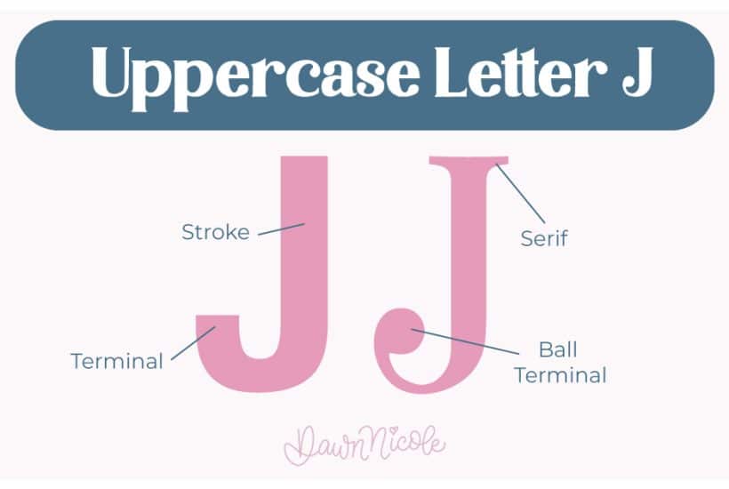 Anatomy of the Letter J: Learn the anatomy of the letter J, including uppercase and lowercase structures, key parts, and tips to improve your lettering!