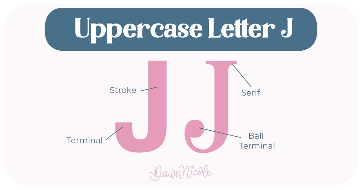 Anatomy of the Letter J: Learn the anatomy of the letter J, including uppercase and lowercase structures, key parts, and tips to improve your lettering!