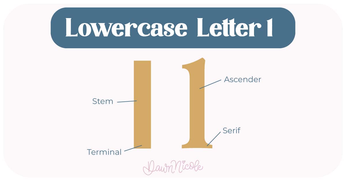 Anatomy of the Letter L. Learn the anatomy of the letter L, including uppercase and lowercase structures, key parts, and tips to improve your lettering!