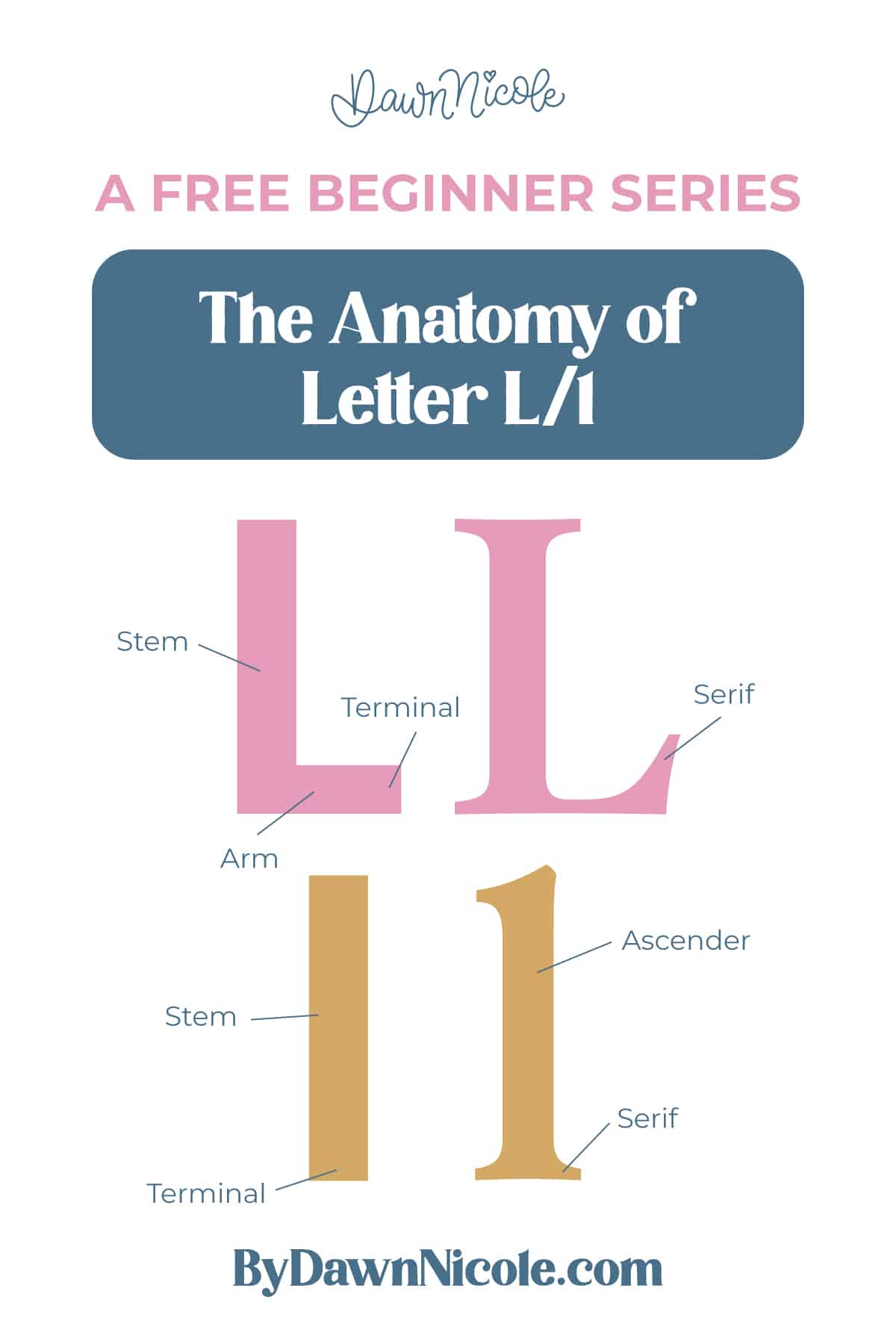 Anatomy of the Letter L. Learn the anatomy of the letter L, including uppercase and lowercase structures, key parts, and tips to improve your lettering!
