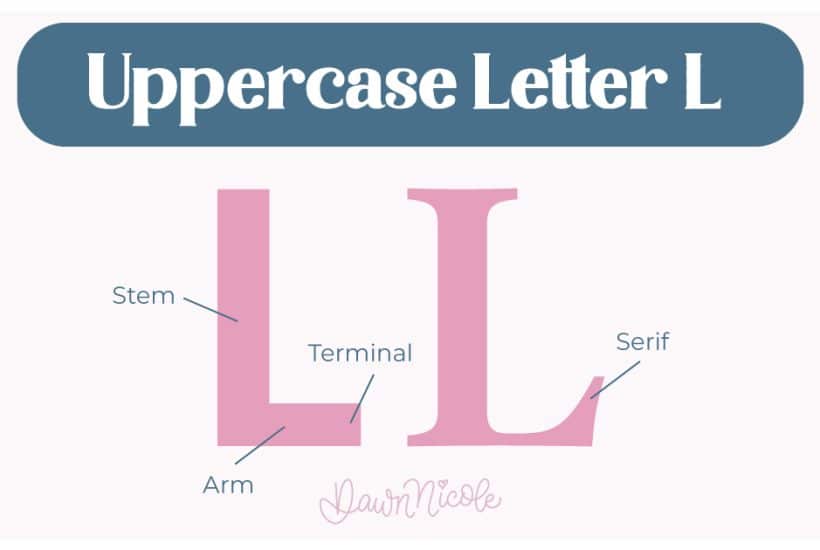 Anatomy of the Letter L. Learn the anatomy of the letter L, including uppercase and lowercase structures, key parts, and tips to improve your lettering!