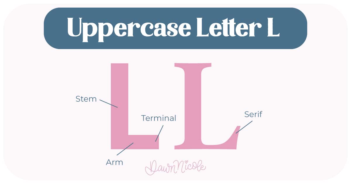 Anatomy of the Letter L. Learn the anatomy of the letter L, including uppercase and lowercase structures, key parts, and tips to improve your lettering!