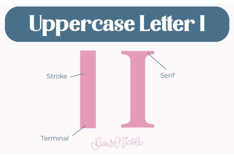 Anatomy of the Letter I. Learn the anatomy of the letter I, including uppercase and lowercase structures, key parts, and tips to improve your lettering!