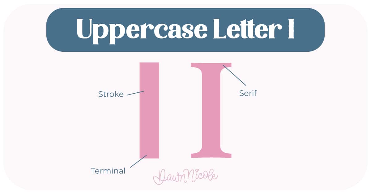 Anatomy of the Letter I. Learn the anatomy of the letter I, including uppercase and lowercase structures, key parts, and tips to improve your lettering!