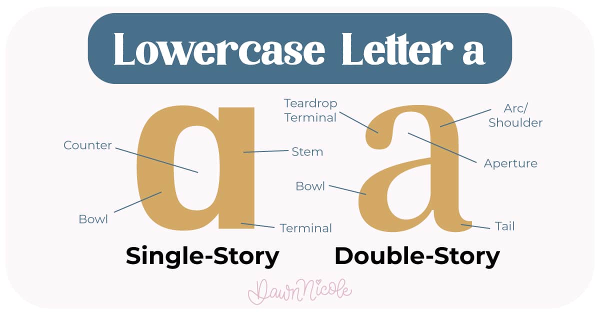 Anatomy of the Letter A. Learn the anatomy of the letter A, including uppercase and lowercase structures, key parts, and tips to improve your lettering!