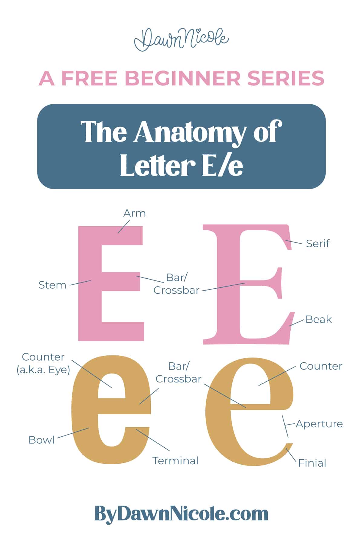 Anatomy of the Letter E. Learn the anatomy of the letter E, including uppercase and lowercase structures, key parts, and tips to improve your lettering!