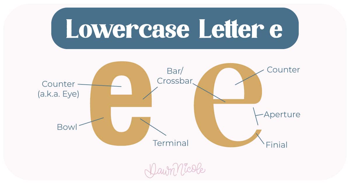 Anatomy of the Letter E. Learn the anatomy of the letter E, including uppercase and lowercase structures, key parts, and tips to improve your lettering!
