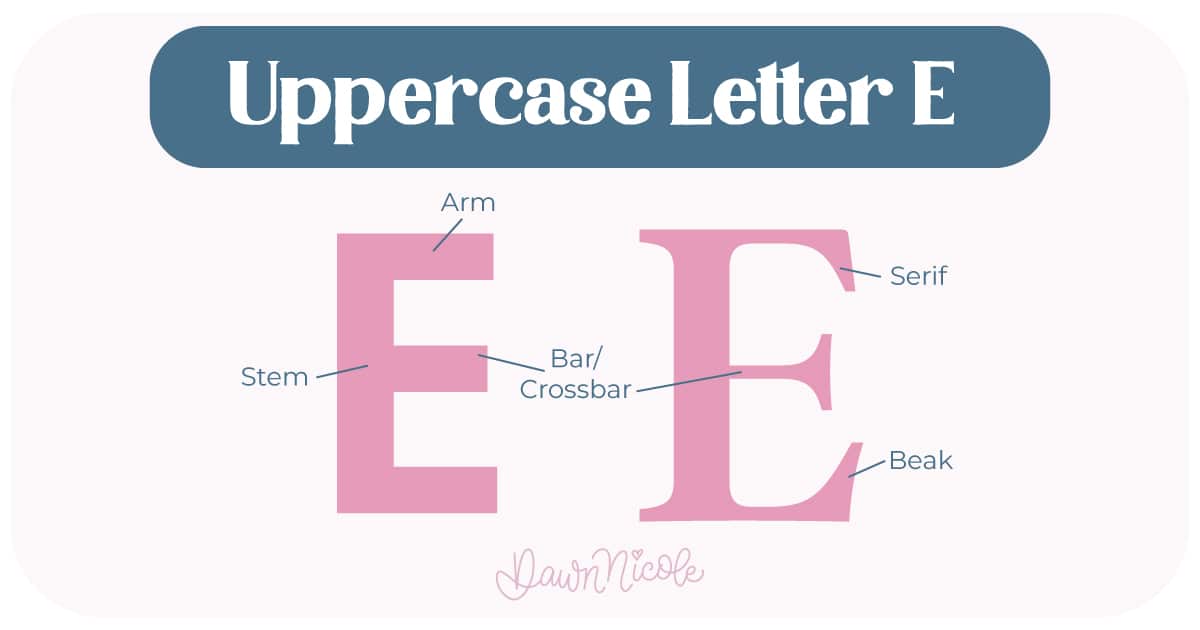Anatomy of the Letter E. Learn the anatomy of the letter E, including uppercase and lowercase structures, key parts, and tips to improve your lettering!