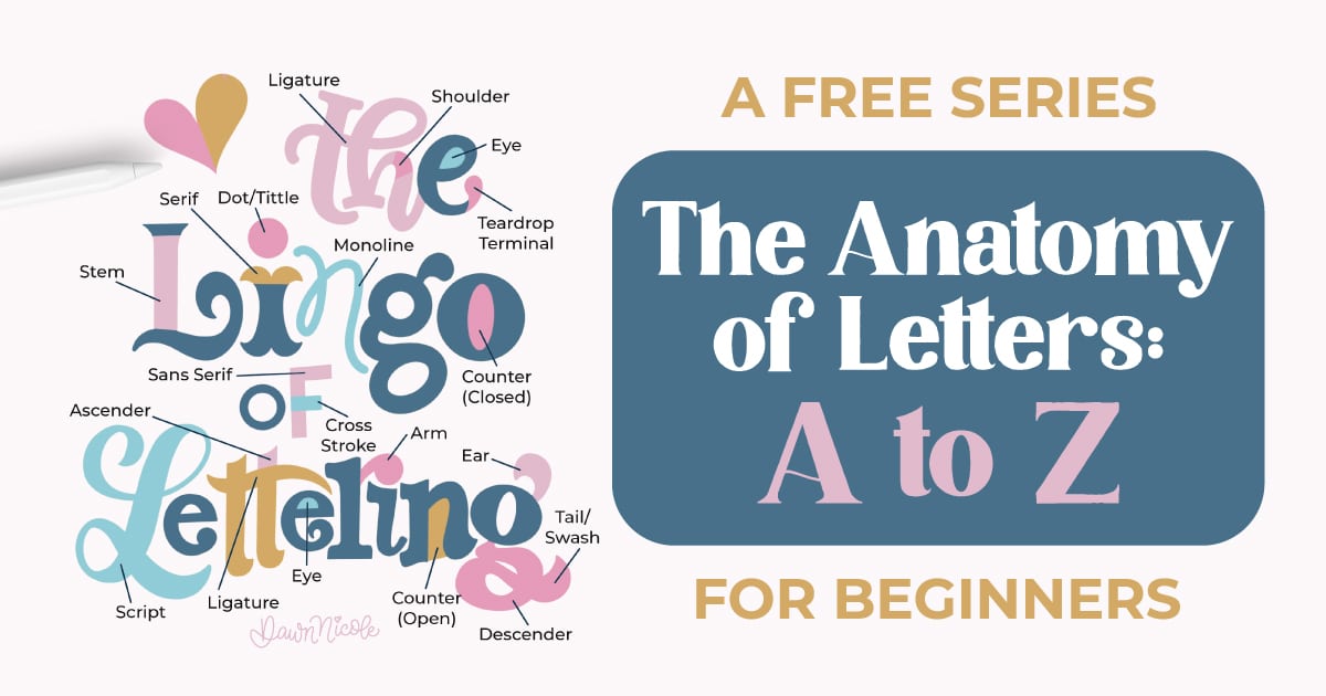 The Anatomy of Letters: An A–Z Guide for Lettering Artists. Master the anatomy of letters with my A–Z guide of terminology to grow your lettering skills and typography knowledge.