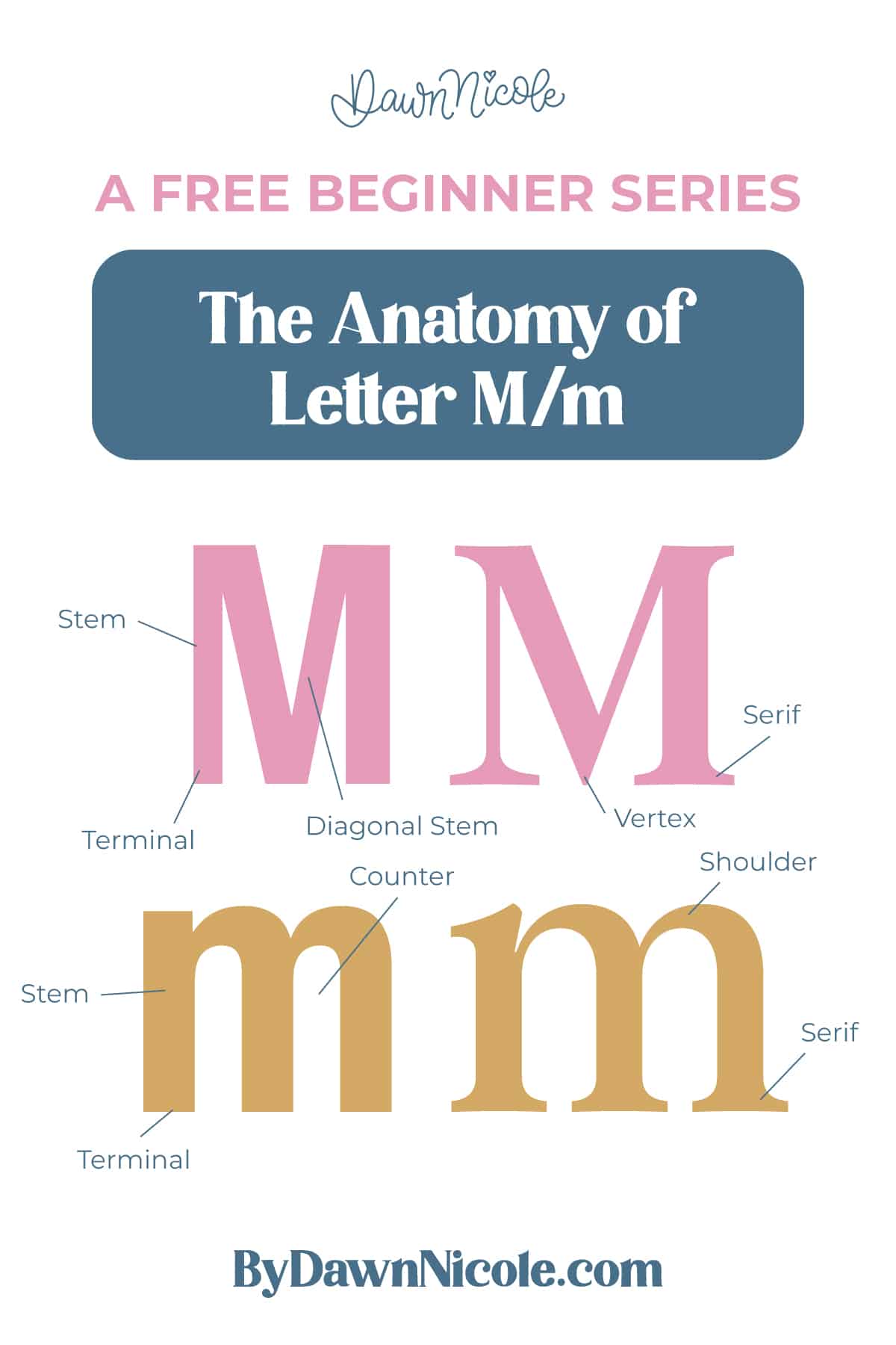 Learn the anatomy of the letter M, including uppercase and lowercase structures, key parts, and tips to improve your lettering!