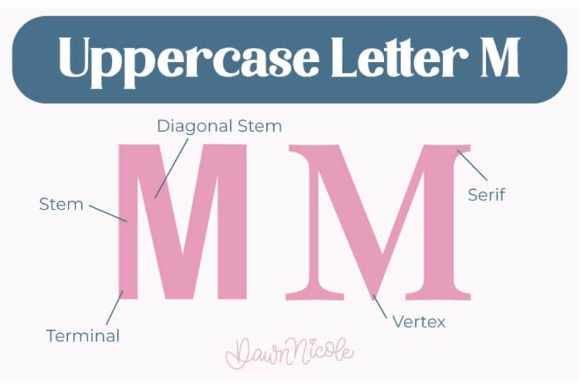 Learn the anatomy of the letter M, including uppercase and lowercase structures, key parts, and tips to improve your lettering!