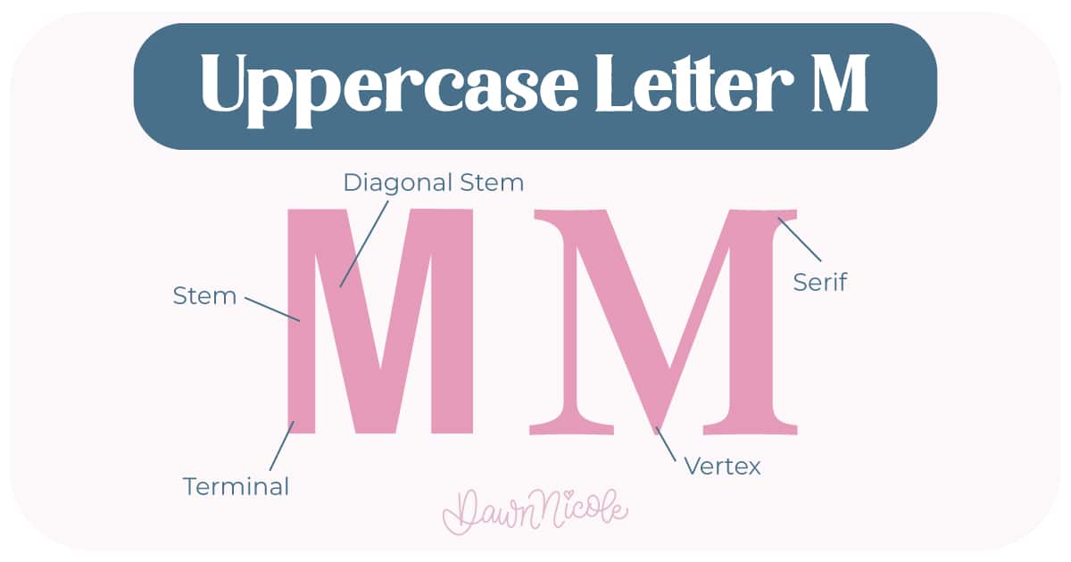 Learn the anatomy of the letter M, including uppercase and lowercase structures, key parts, and tips to improve your lettering!