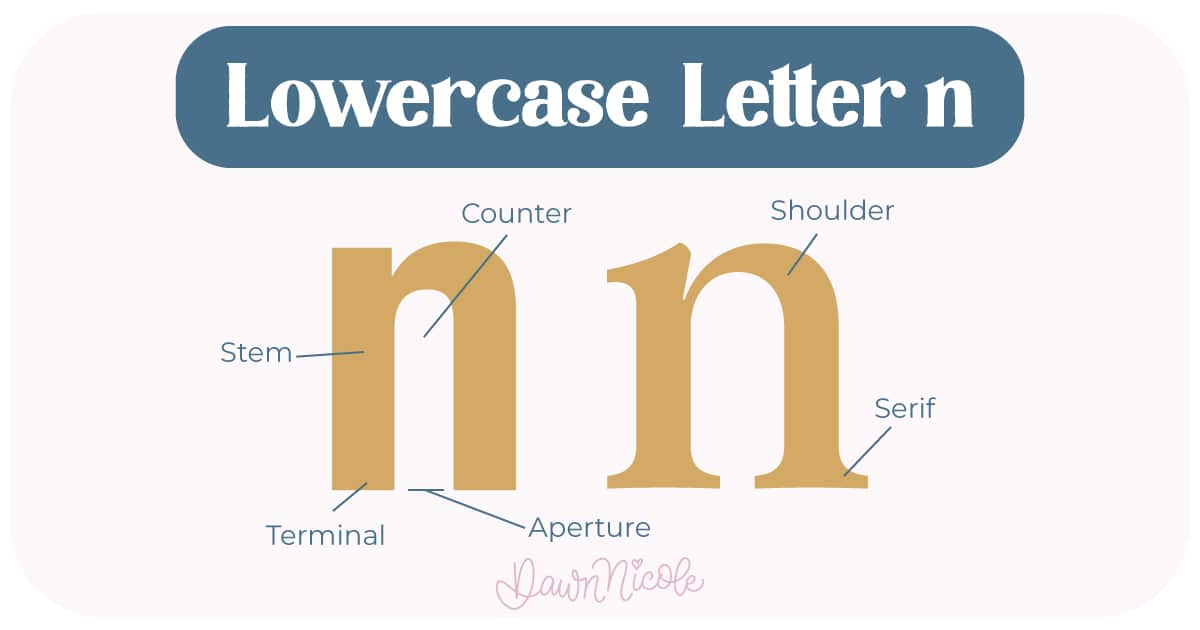 Learn the anatomy of the letter N, including uppercase and lowercase structures, key parts, and tips to improve your lettering!