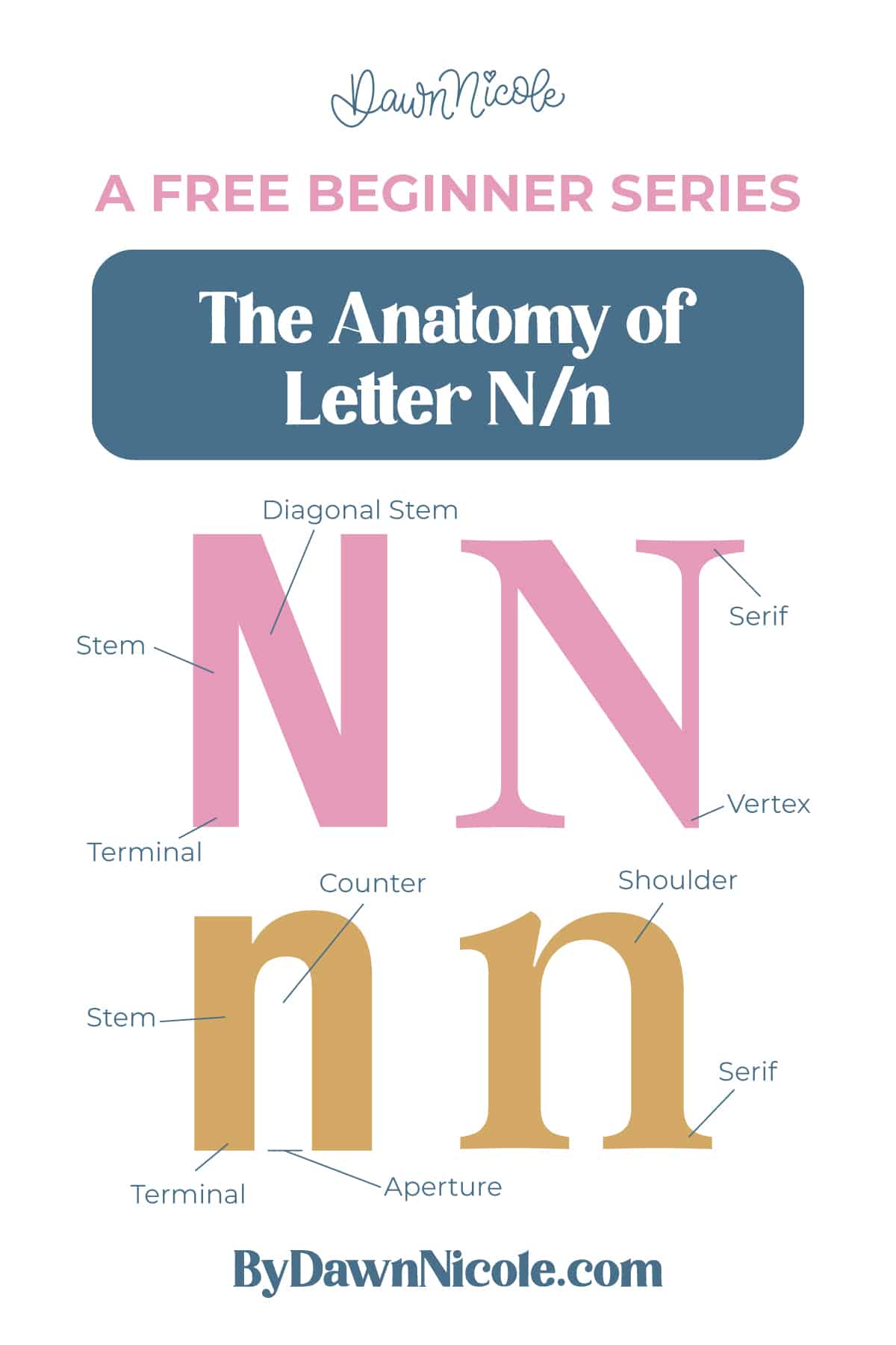 Learn the anatomy of the letter N, including uppercase and lowercase structures, key parts, and tips to improve your lettering!