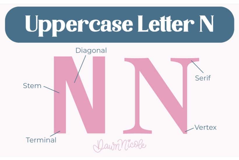 Learn the anatomy of the letter N, including uppercase and lowercase structures, key parts, and tips to improve your lettering!