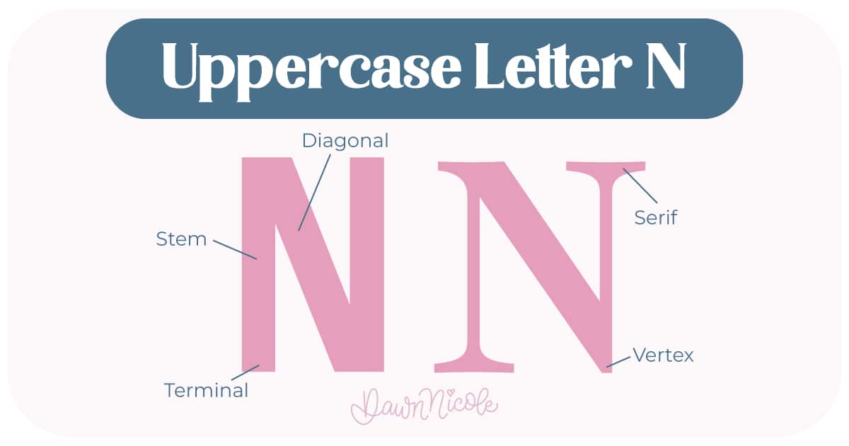 Learn the anatomy of the letter N, including uppercase and lowercase structures, key parts, and tips to improve your lettering!
