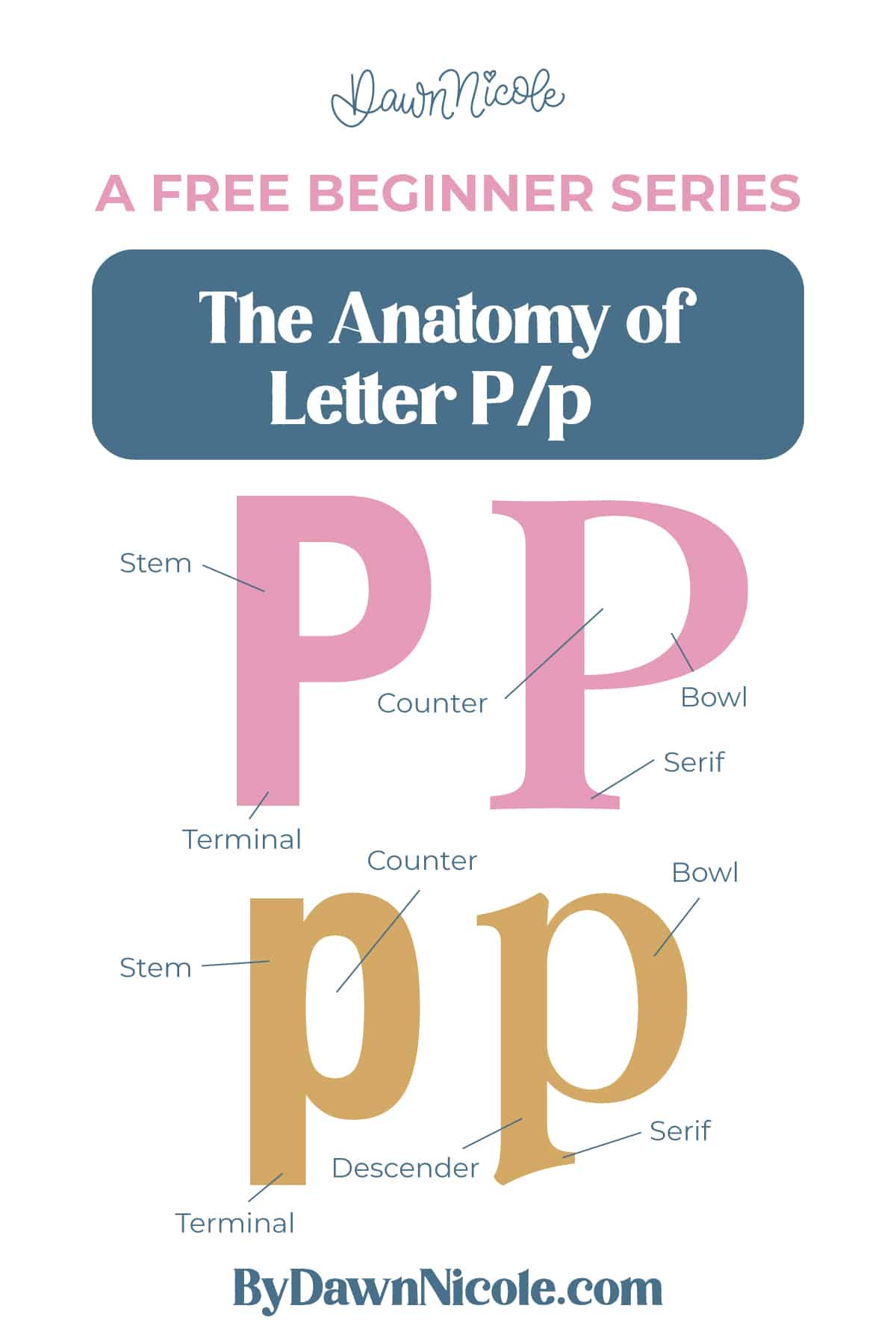 %%page%% Learn the anatomy of the letter P, including uppercase and lowercase structures, key parts, and tips to improve your lettering!
