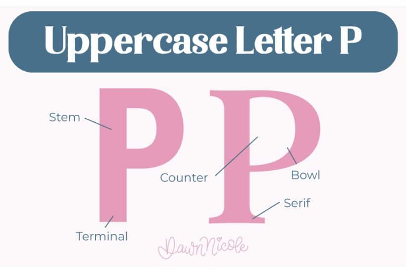 %%page%% Learn the anatomy of the letter P, including uppercase and lowercase structures, key parts, and tips to improve your lettering!