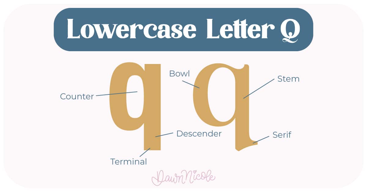Learn the anatomy of the letter Q, including uppercase and lowercase structures, key parts, and tips to improve your lettering!