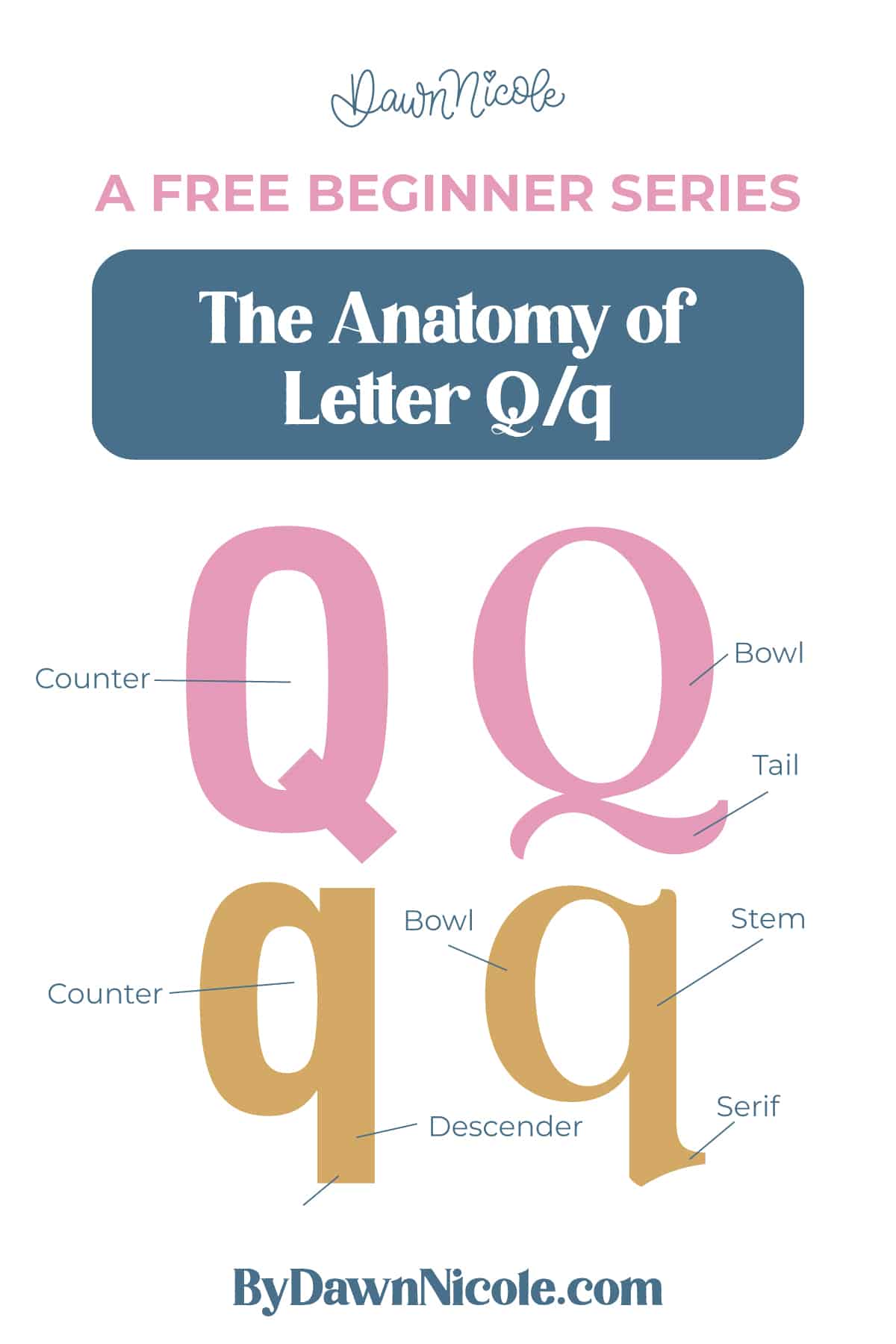 Learn the anatomy of the letter Q, including uppercase and lowercase structures, key parts, and tips to improve your lettering!