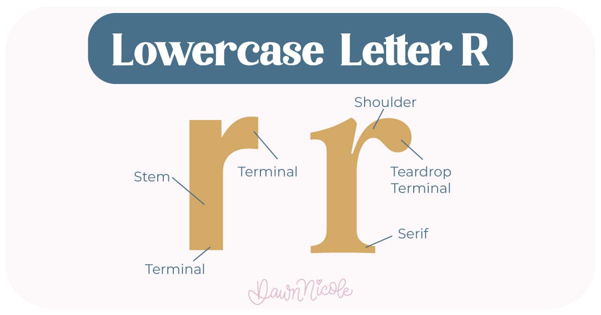 Learn the anatomy of the letter R, including uppercase and lowercase structures, key parts, and tips to improve your lettering!