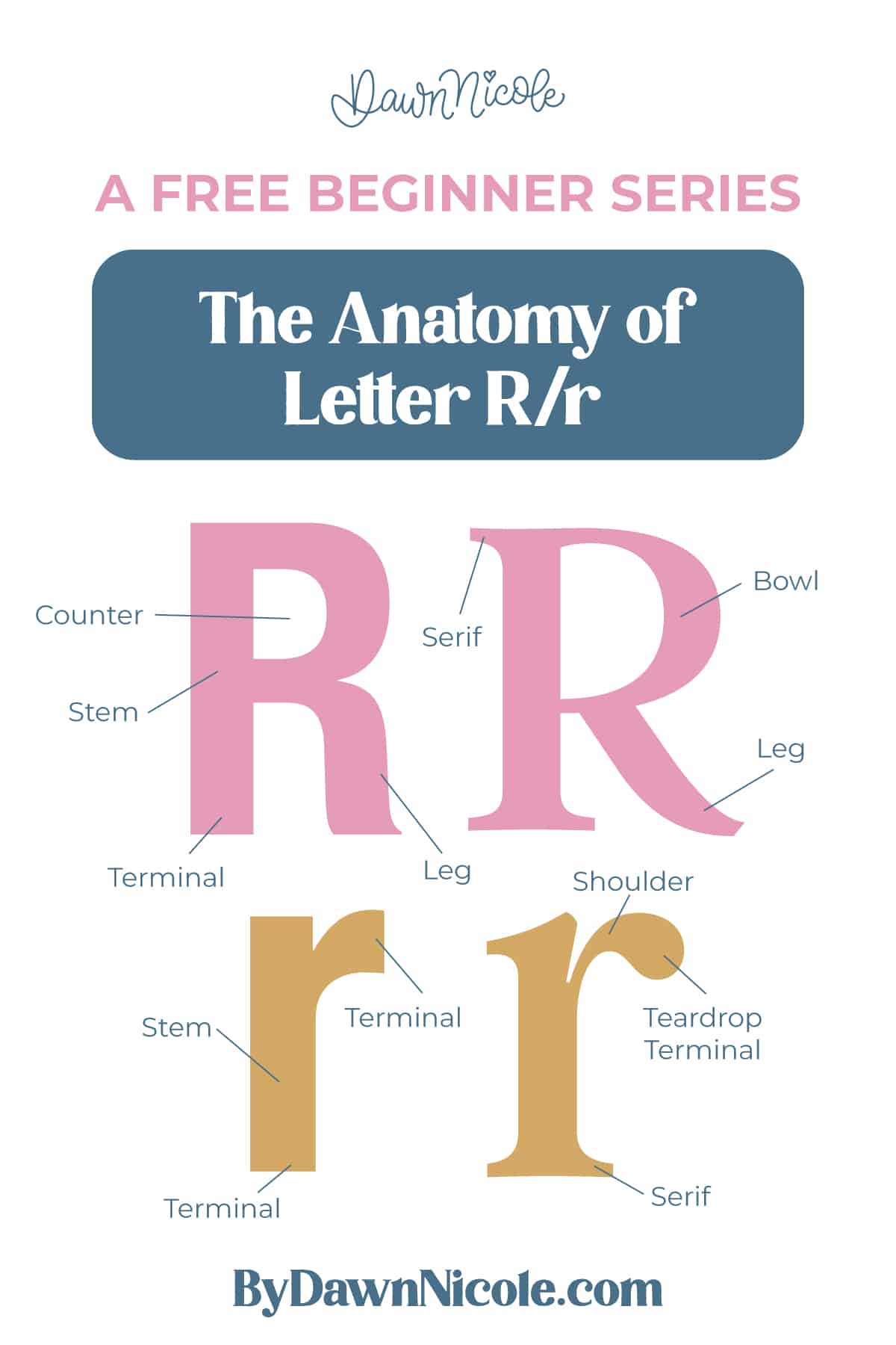Learn the anatomy of the letter R, including uppercase and lowercase structures, key parts, and tips to improve your lettering!
