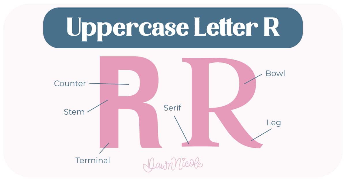 Learn the anatomy of the letter R, including uppercase and lowercase structures, key parts, and tips to improve your lettering!